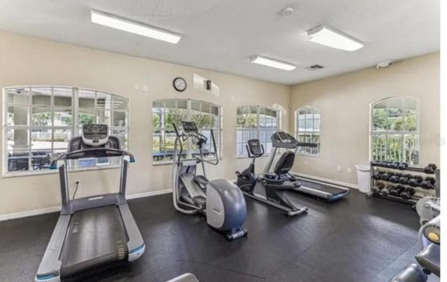 8542 BRUSHLEAF WAY, Tampa, FL 33647