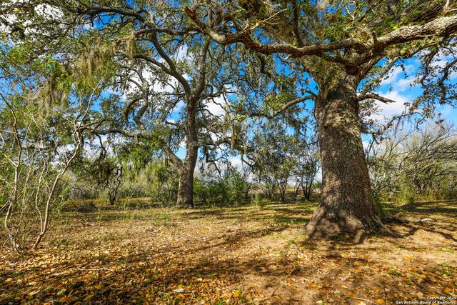 0 Cr 115, Kenedy, TX 78119