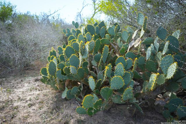 0 Cr 115, Kenedy, TX 78119