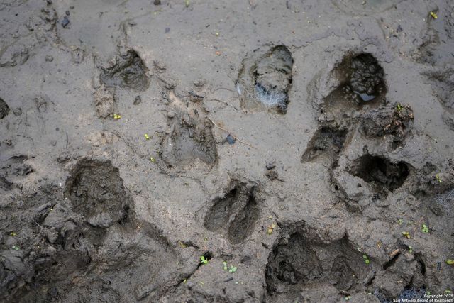 0 Cr 115, Kenedy, TX 78119