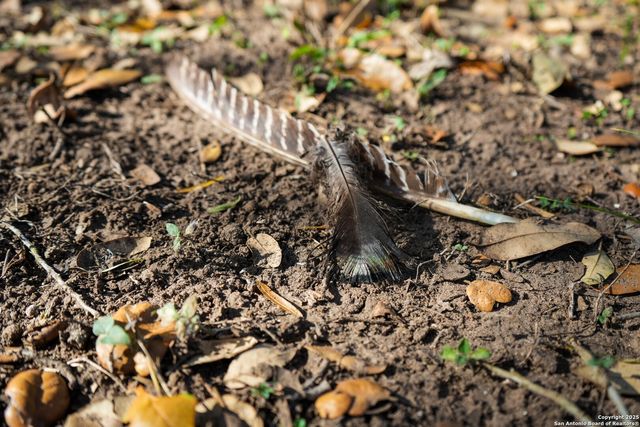 0 Cr 115, Kenedy, TX 78119