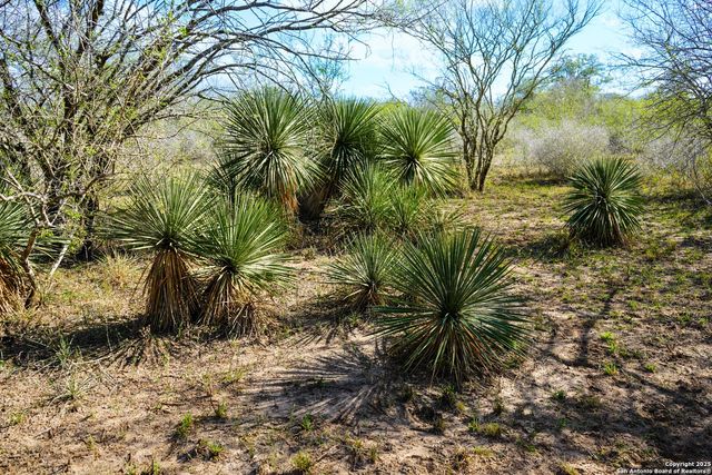 0 Cr 115, Kenedy, TX 78119