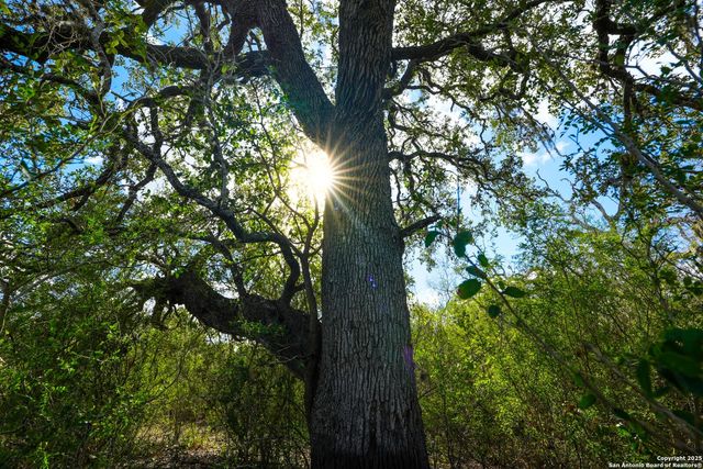 0 Cr 115, Kenedy, TX 78119