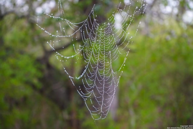 0 Cr 115, Kenedy, TX 78119