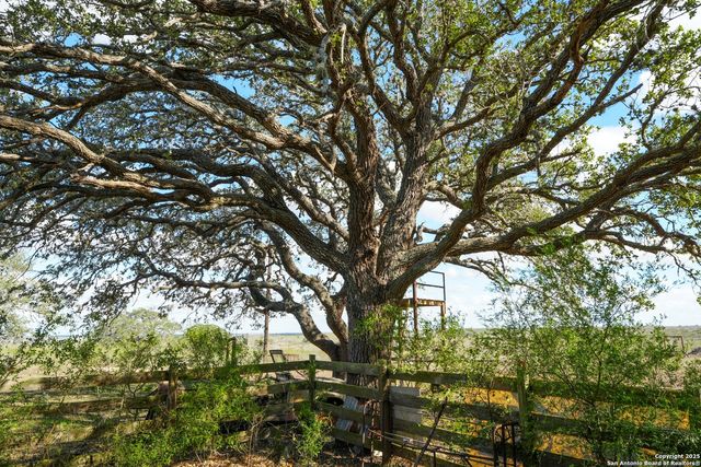 0 Cr 115, Kenedy, TX 78119