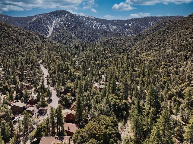 1737 Zion, Pine Mountain Club, CA 93222