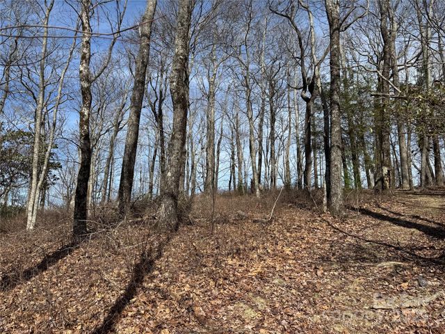 L4 Windy Gap Lane, Sapphire, NC 28774