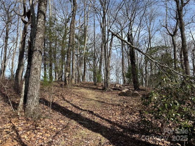 L4 Windy Gap Lane, Sapphire, NC 28774