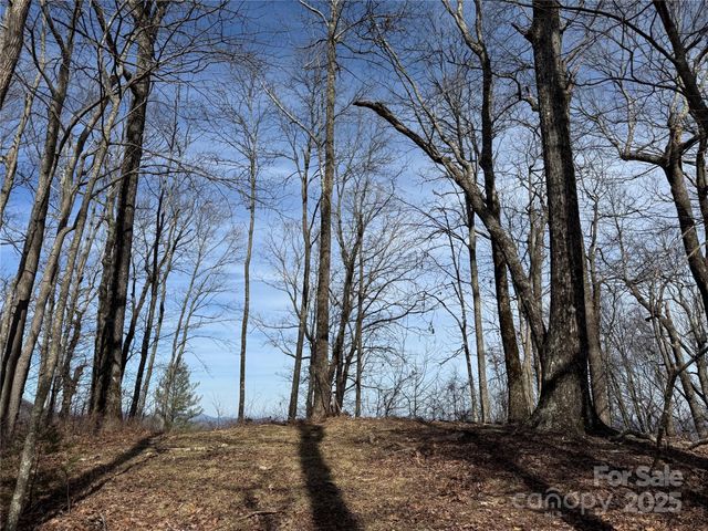 L4 Windy Gap Lane, Sapphire, NC 28774