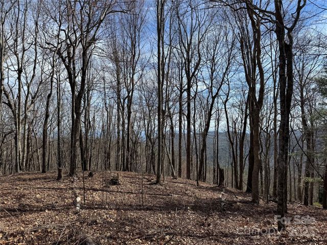L4 Windy Gap Lane, Sapphire, NC 28774