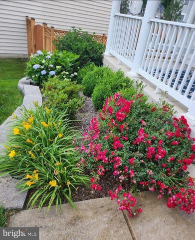 16104 MOUNTAIN EAGLE CT, Woodbridge, VA 22191