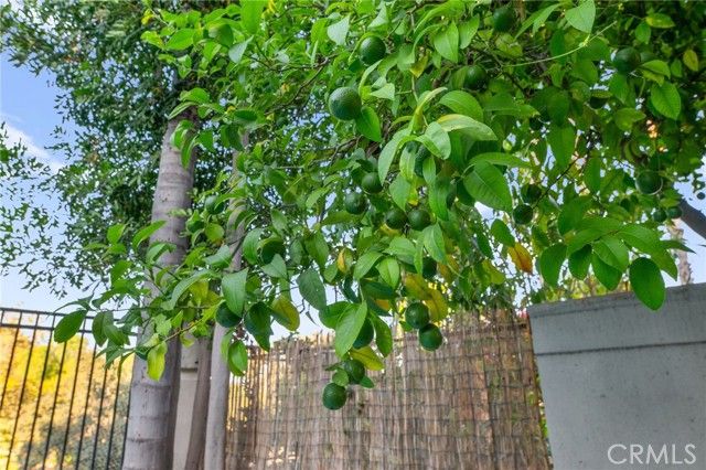 26562 Via Mondelo, Mission Viejo, CA 92692