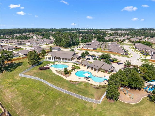 12319 Little Blue Heron Lane, Conroe, TX 77304