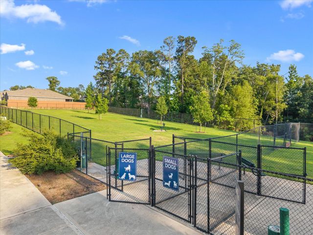 12319 Little Blue Heron Lane, Conroe, TX 77304