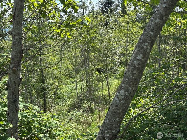 0 Maple Ridge Rd, Cathlamet, WA 98612