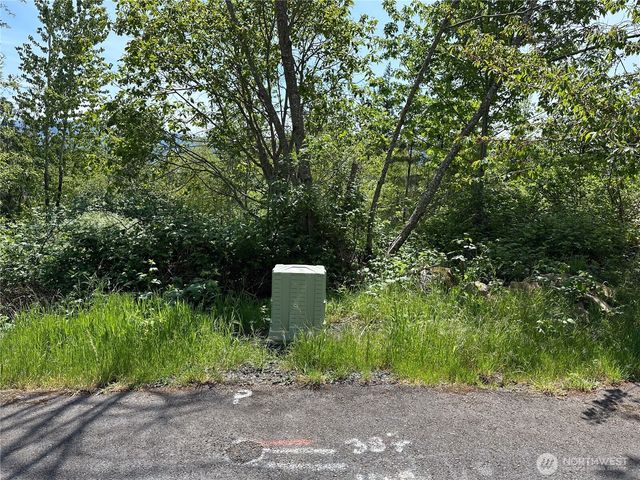 0 Maple Ridge Rd, Cathlamet, WA 98612