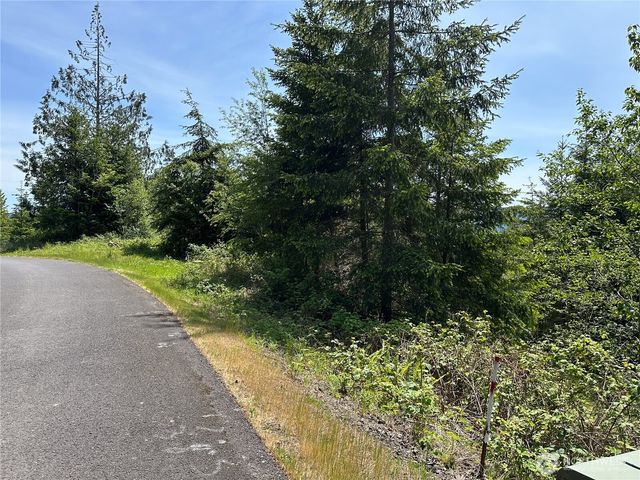 0 Maple Ridge Rd, Cathlamet, WA 98612