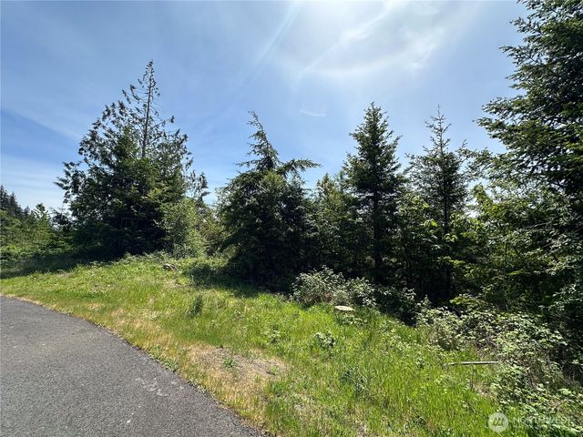 0 Maple Ridge Rd, Cathlamet, WA 98612