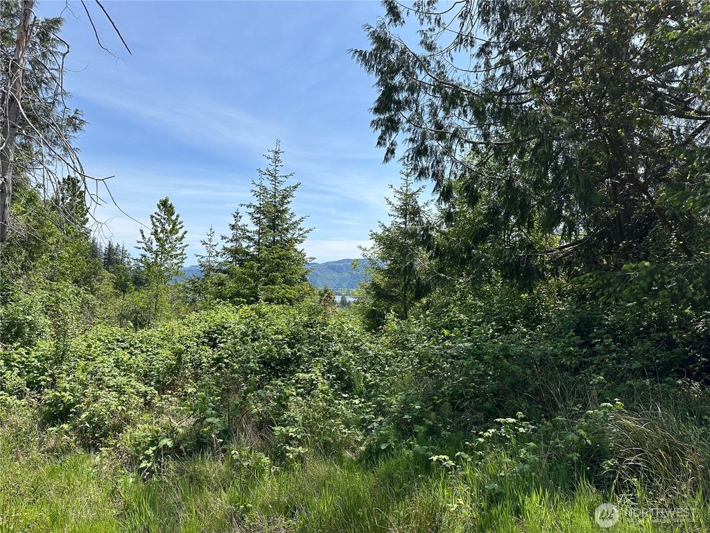 0 Maple Ridge Rd, Cathlamet, WA 98612