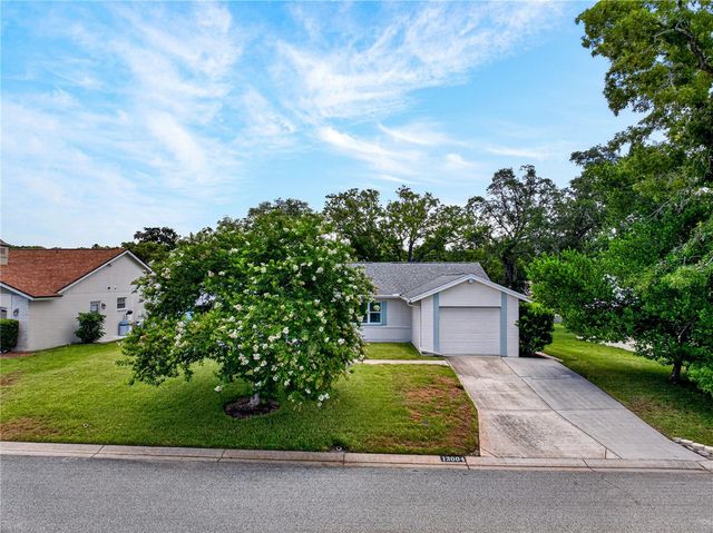 13004 SERPENTINE DRIVE, Hudson, FL 34667