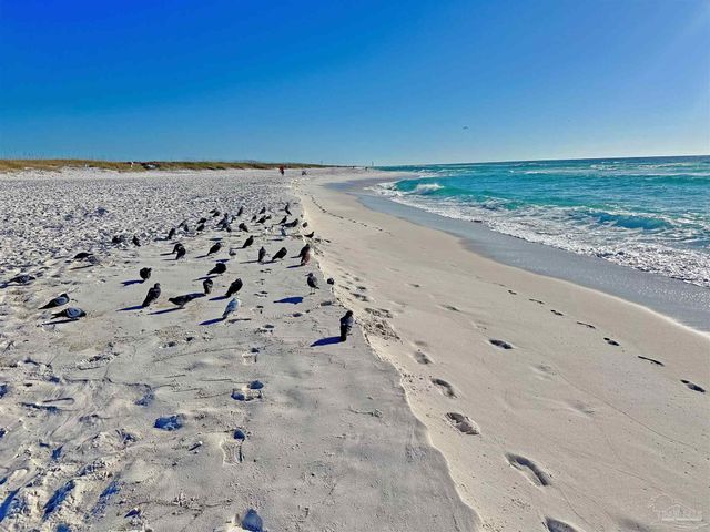 13555 Perdido Key Dr 26cd, Pensacola, FL 32507