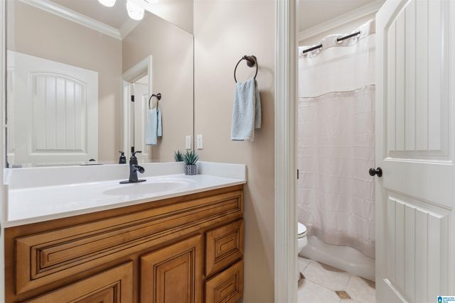 565 WHITE TAIL RUN, Chelsea, AL 35043
