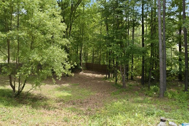 565 WHITE TAIL RUN, Chelsea, AL 35043