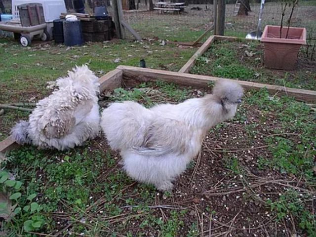 19121 Hiers Rd, Grass Valley, CA 95949