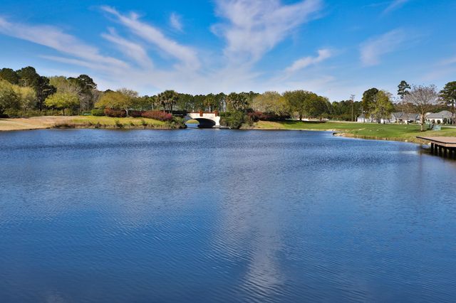 1004 Black Skimmer Dr., Conway, SC 29526