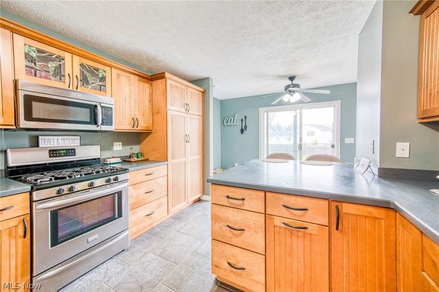 1215 Heatherstone Drive, Painesville Twp, OH 44077