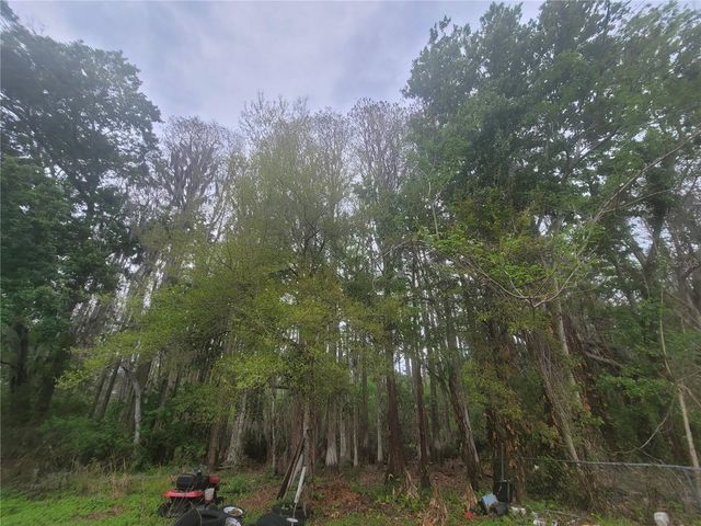 11641 BRUIN DRIVE, New Port Richey, FL 34654