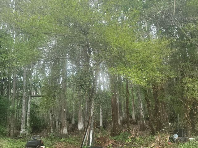 11641 BRUIN DRIVE, New Port Richey, FL 34654