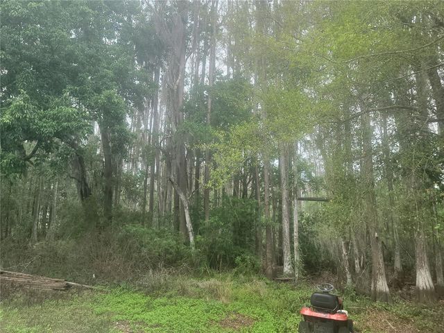 11641 BRUIN DRIVE, New Port Richey, FL 34654