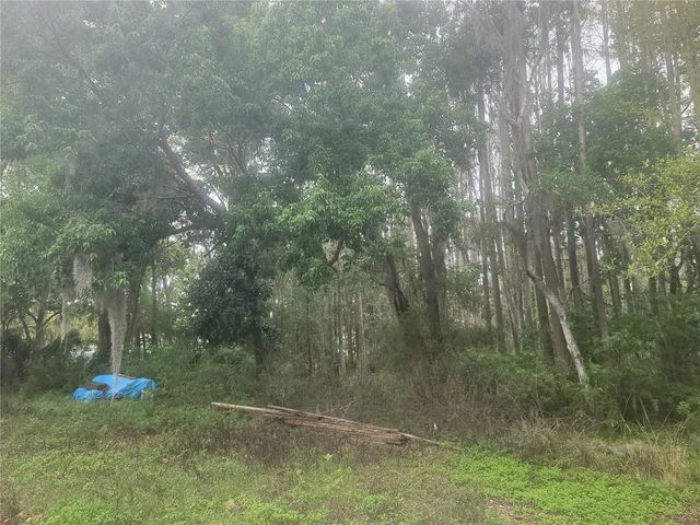 11641 BRUIN DRIVE, New Port Richey, FL 34654