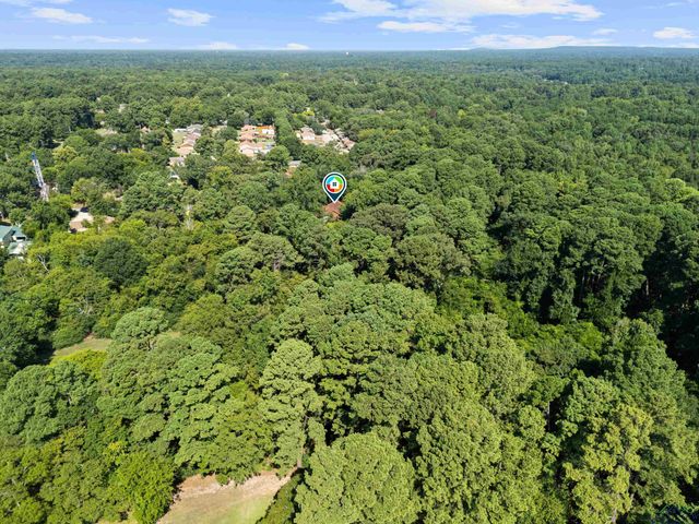 6 Honeysuckle Ln, Longview, TX 75604