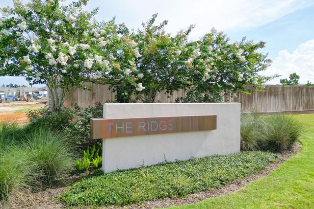 15000 Rustic Moon Road, Conroe, TX 77302