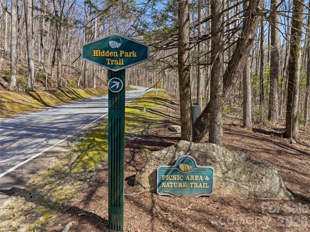 TBD Panther Mountain Road 18, Zirconia, NC 28790