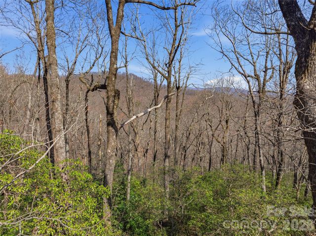 TBD Panther Mountain Road 18, Zirconia, NC 28790