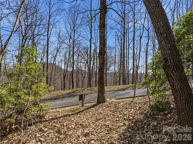TBD Panther Mountain Road 18, Zirconia, NC 28790