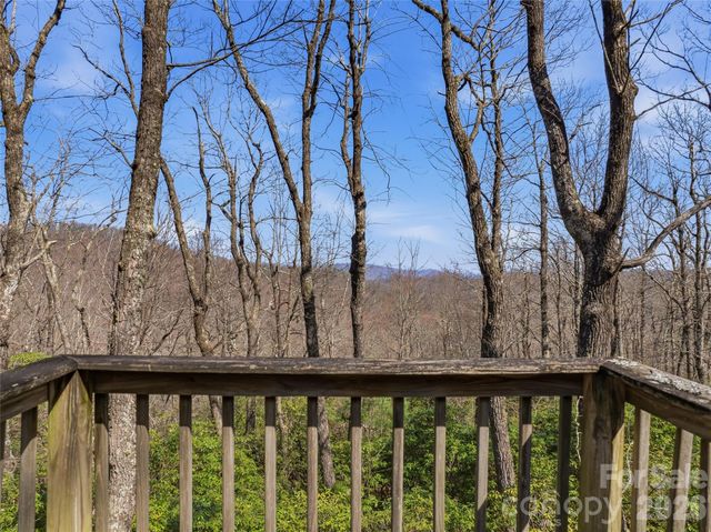 TBD Panther Mountain Road 18, Zirconia, NC 28790