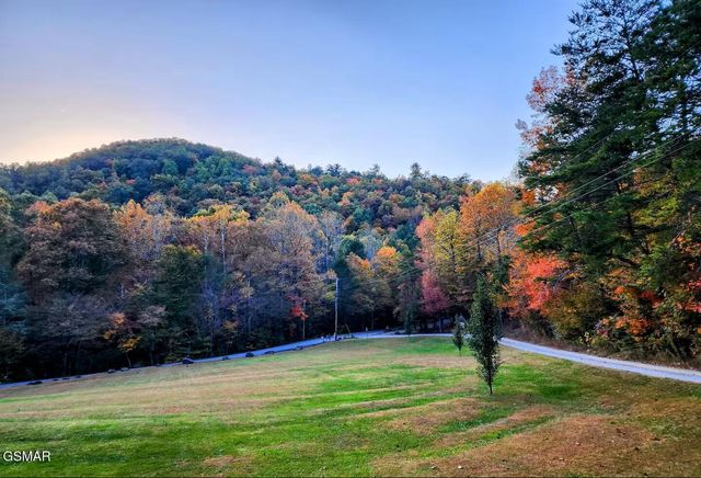 676 Rocky Flats Road, Cosby, TN 37722