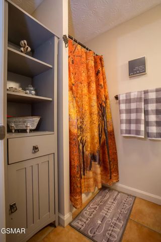 676 Rocky Flats Road, Cosby, TN 37722