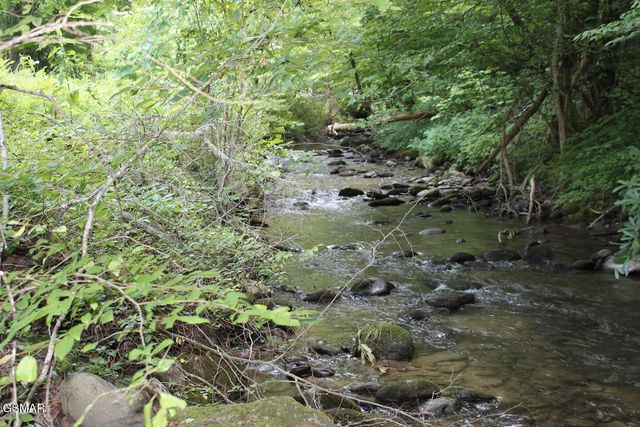 676 Rocky Flats Road, Cosby, TN 37722