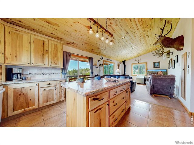 51 Tenino Court, Red Feather Lakes, CO 80545