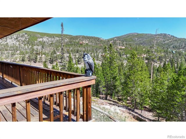 51 Tenino Court, Red Feather Lakes, CO 80545