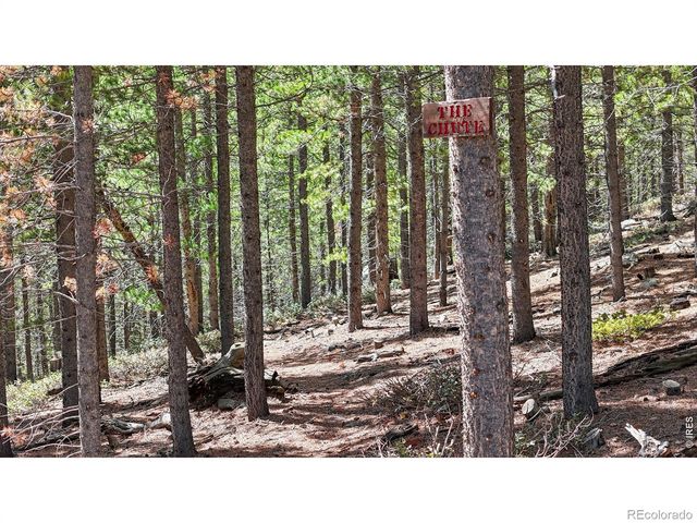 51 Tenino Court, Red Feather Lakes, CO 80545