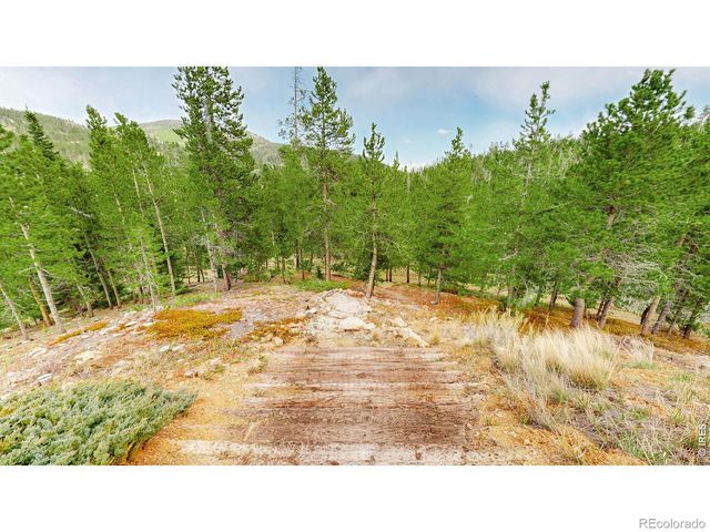 51 Tenino Court, Red Feather Lakes, CO 80545
