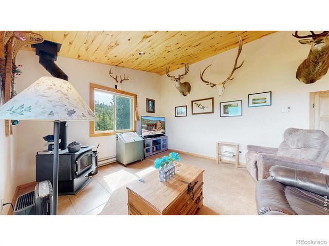 51 Tenino Court, Red Feather Lakes, CO 80545