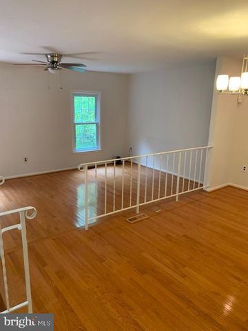 7416 SPRING TREE DR, Springfield, VA 22153