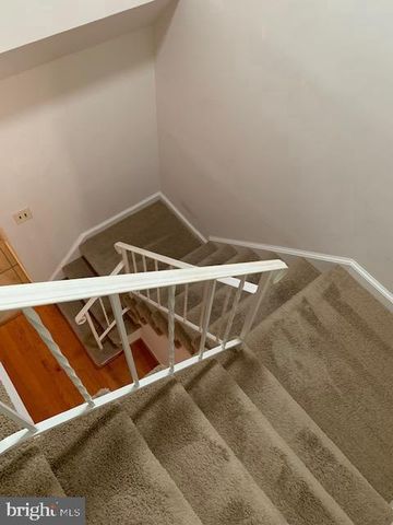 7416 SPRING TREE DR, Springfield, VA 22153